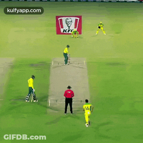 Starc Rocks De Kock Shocks.Gif GIF
