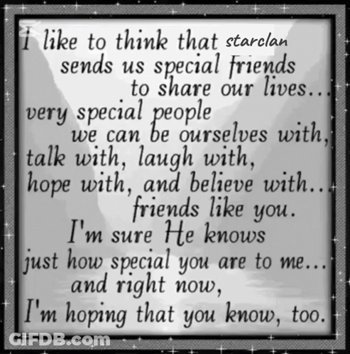 Starclan Sends Us Special Friends To Share Our Lives GIF