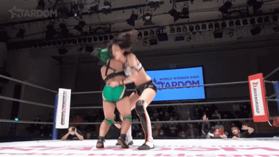 Stardom Wrestler Chokeslam Opponent GIF