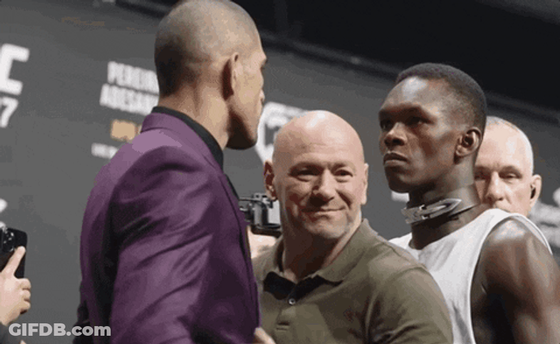 Stare Down UFC Pereira Versus Adesanya GIF