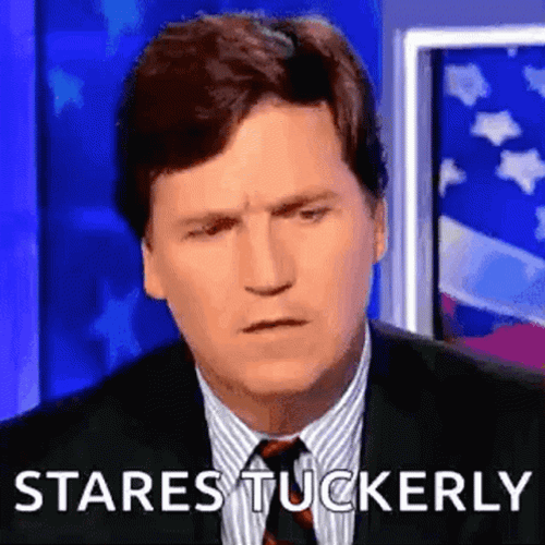 Stared Tuckerly Tucker Carlson GIF