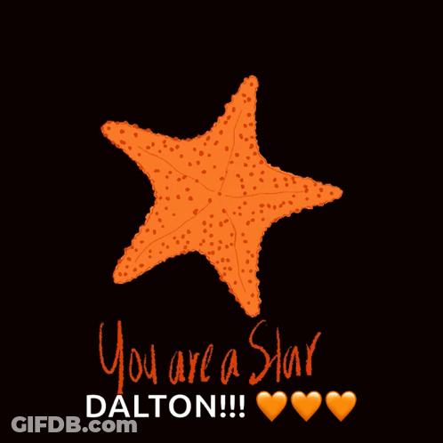 Starfish You Are A Star Dalton GIF