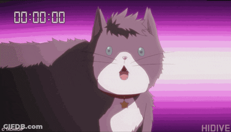 Starring Each Other Cute Cat Animated GIF