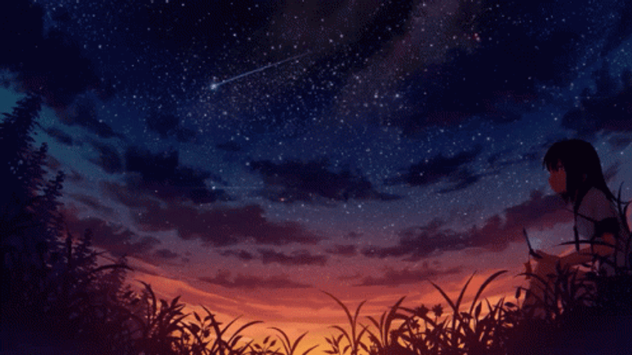 Starry Night Anime Girl In Field GIF