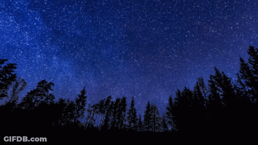 Starry Night Sky Rotating Above Forest GIF