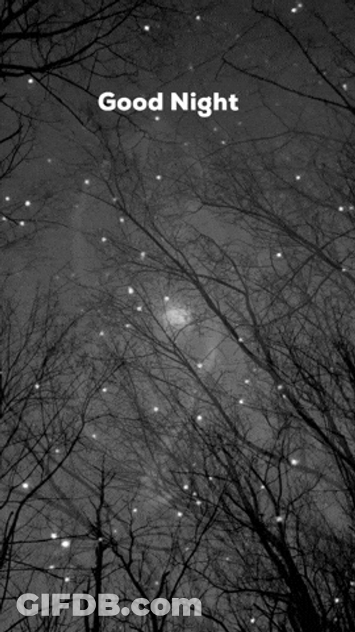 Starry Sky Outside Goodnight GIF