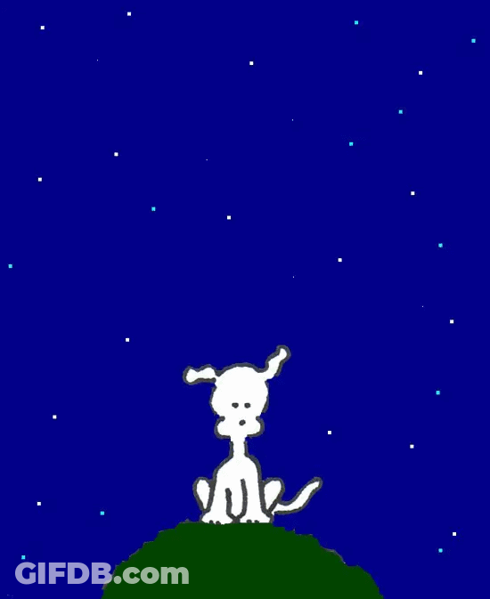 Stars In Chippy The Dog GIF