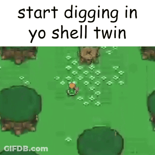 Start Digging In Yo Shell Twin Video Game GIF