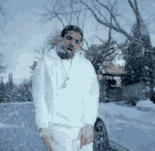 Started From The Bottom Drake Rap GIF