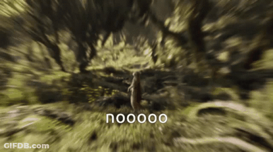 Startled Meerkat Shouting No GIF