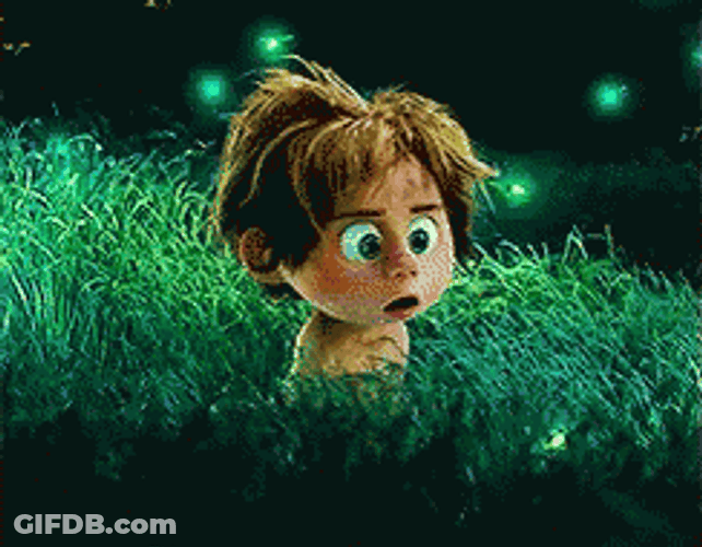 Startled Spot Wide Eyes Fireflies GIF