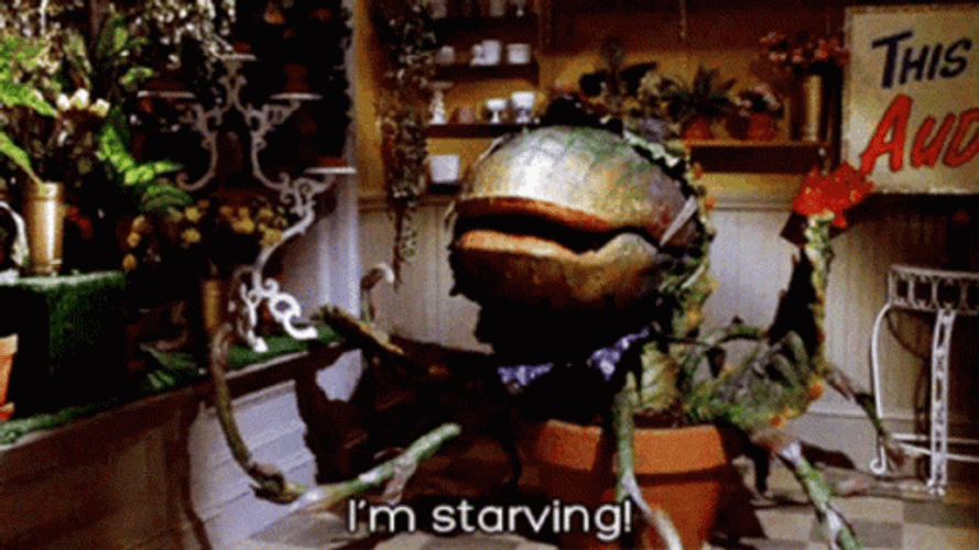 Starving Audrey II Feed Me Seymour GIF