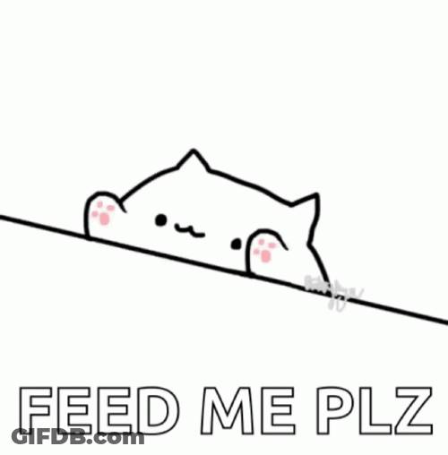 Starving Cat Feed Me Please GIF