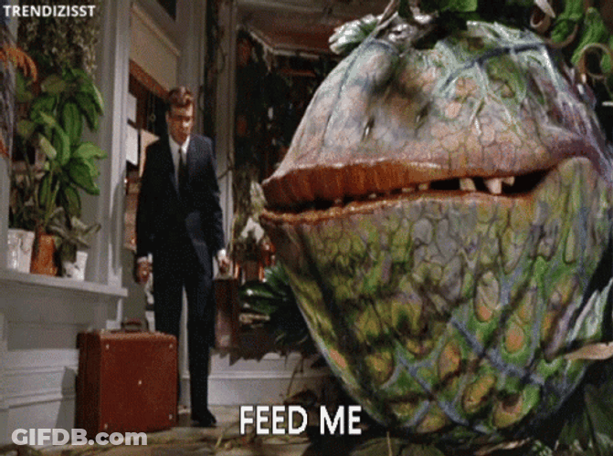 Starving Plant Feed Me GIF