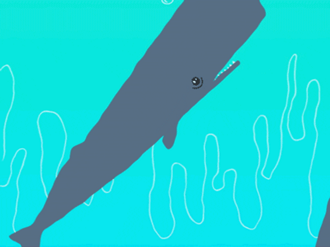 States Whale Animation GIF