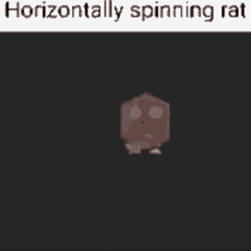Stationary Rat Horizontal Spin GIF