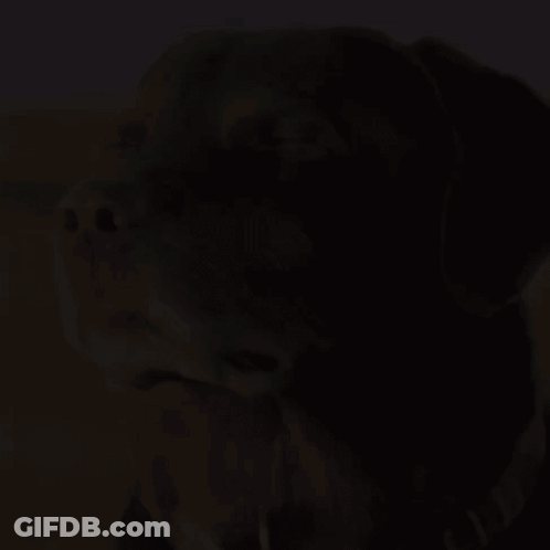 Statue Holding Shield GIF