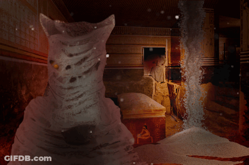 Statue Of Cat In Dark Room With Coffin GIF