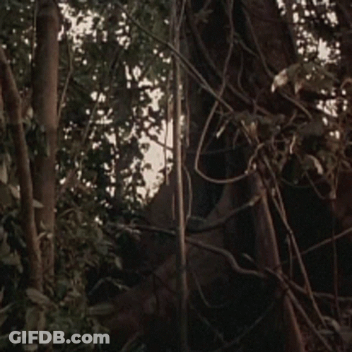 Statue Of Horse Surrounded By Trees And Leaves GIF