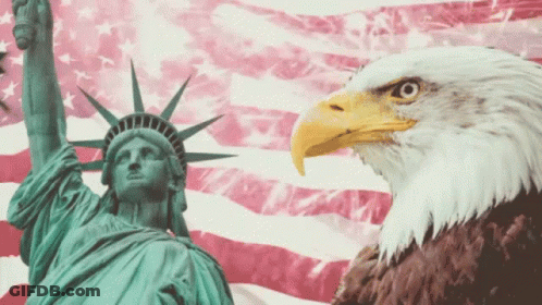 Statue Of Liberty And Bald Eagle With American Flag GIF