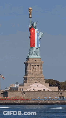 Statue Of Liberty From Plane Window GIF