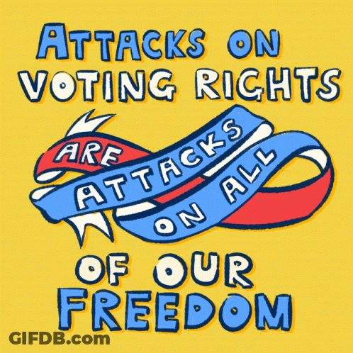 Statue Of Liberty Should Have The Right To Vote GIF