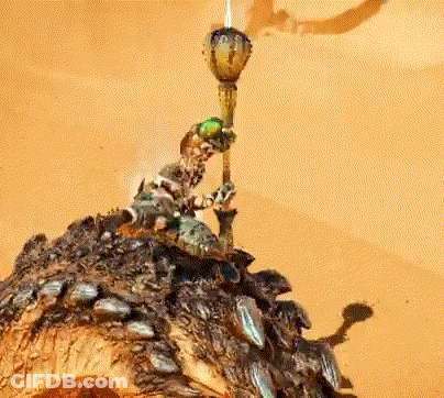 Statue Of Man Holding Torch On Rocks GIF