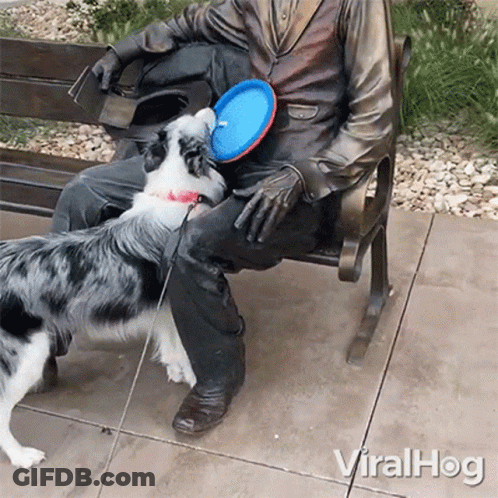 Statue Of Man Sitting On Bench With Dog Playing With Frisbee GIF