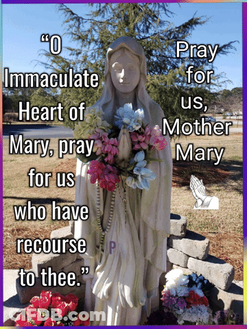 Statue With Flowers Pray For Us Mother Mary GIF