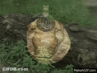 Statue With Makeagif.com GIF