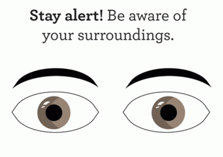 Stay Alert Eyes GIF