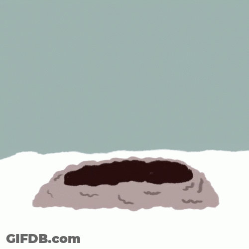 Stay Home Groundhog GIF