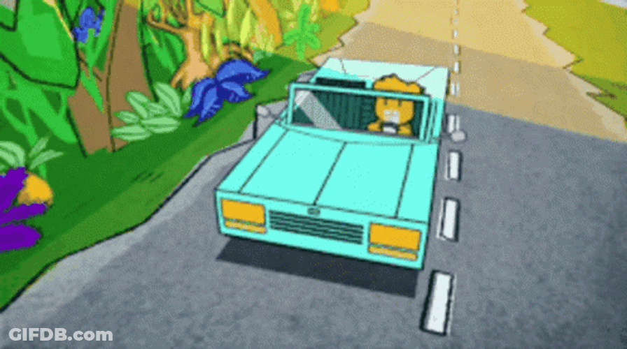 Stay In Your Lane Bear Driving GIF