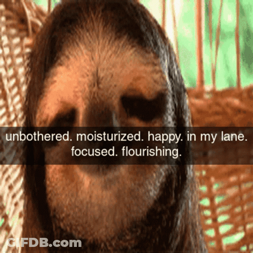 Stay In Your Lane Sloth GIF