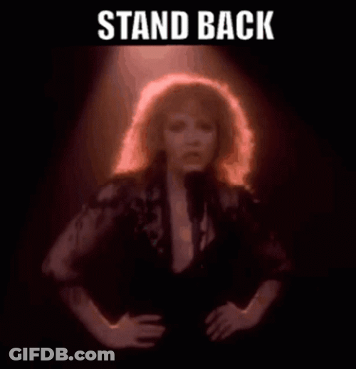 Stay In Your Lane Stevie Nicks GIF