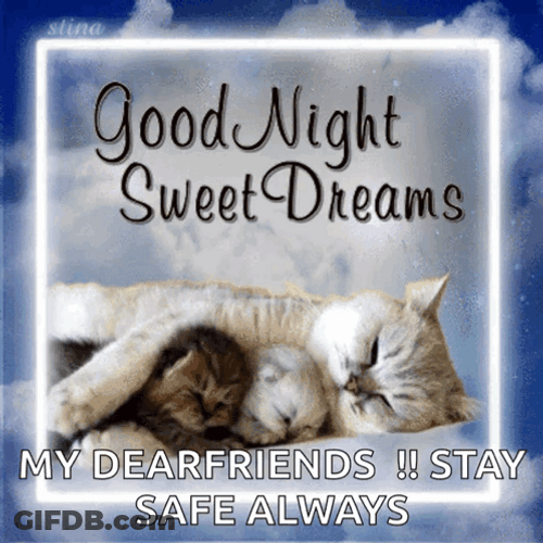 Stay Safe Cat Family Sleeping GIF