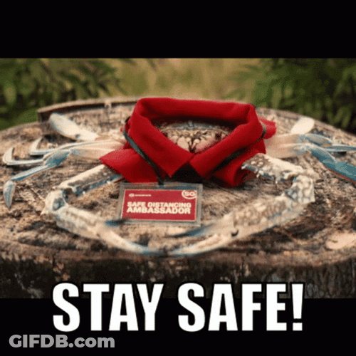 Stay Safe Crab With Clothes GIF