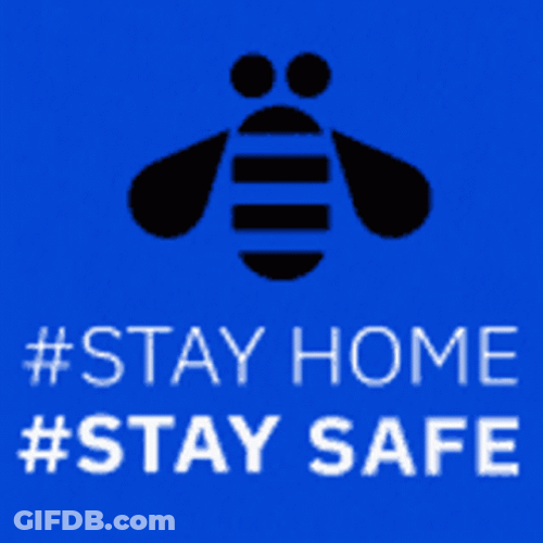 Stay Safe Flying Bee GIF