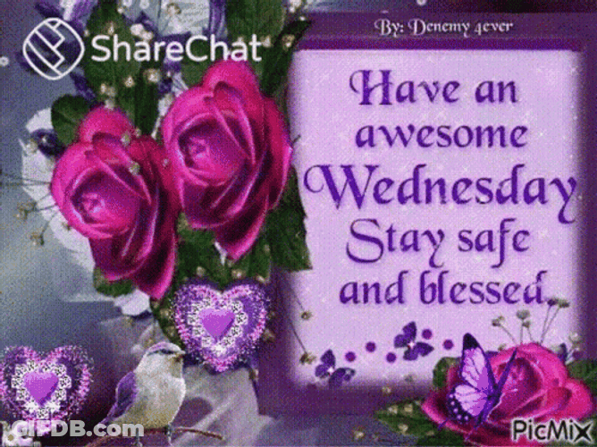 Stay Safe Happy Blessed Wednesday GIF