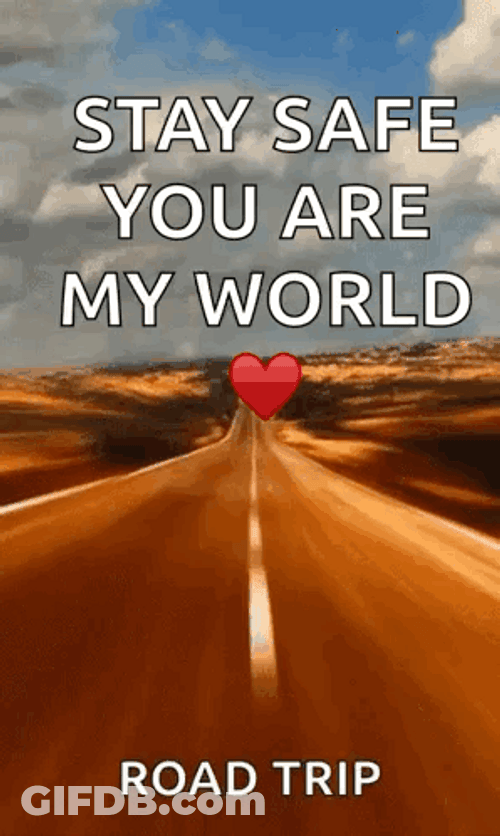 Stay Safe Road Trip GIF