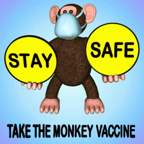 Stay Safe Take Monkey Vaccine GIF