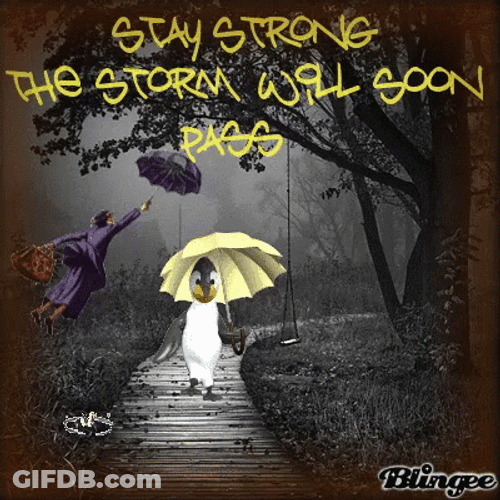 Stay Strong Penguin In The Rain GIF