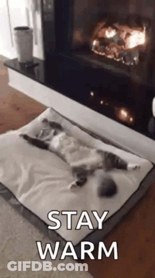 Stay Warm Cat Sleeping Beside Fireplace GIF