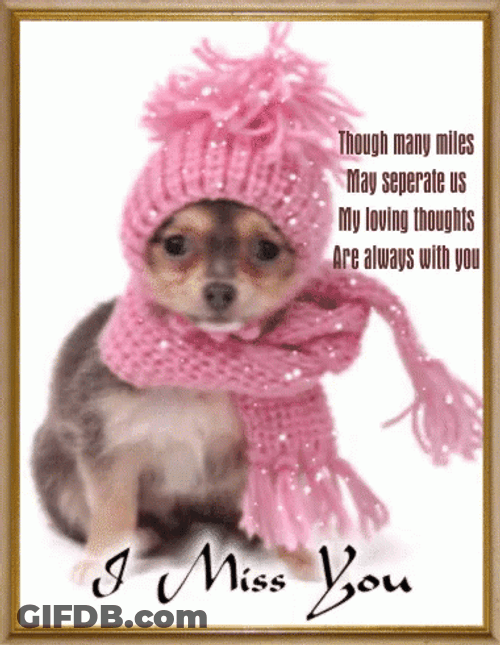 Stay Warm Dog Missing You GIF