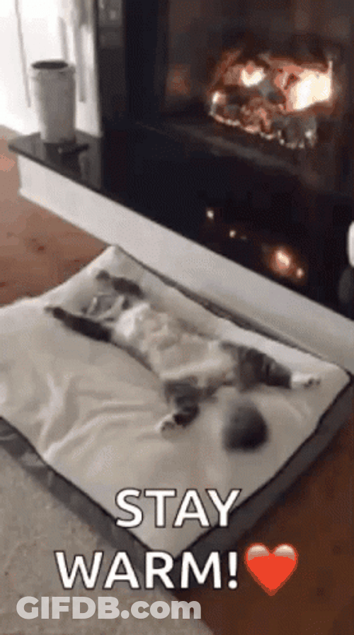 Stay Warm GIF