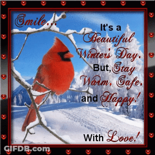 Stay Warm Safe And Happy GIF