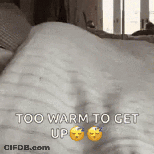 Stay Warm Sleepy Dog GIF