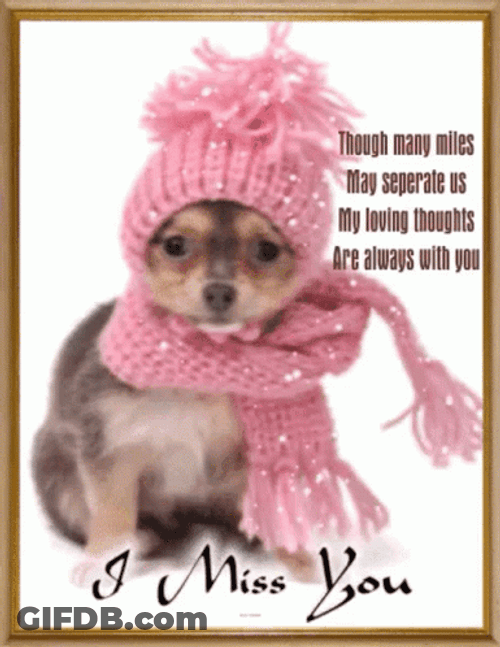 Stay Warm GIF