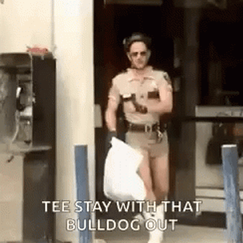 Stay With That Bulldog Out Reno 911 GIF