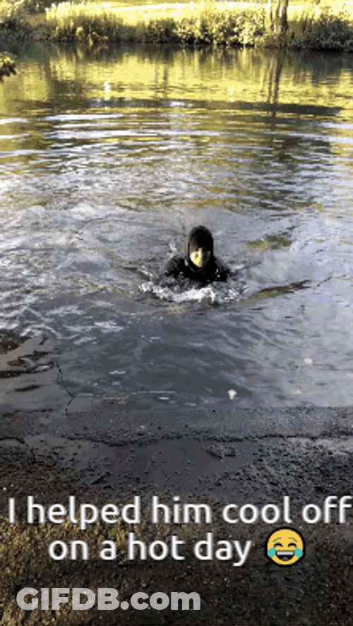 Staying Cool By Swimming In The Lake GIF